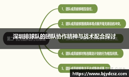 深圳排球队的团队协作精神与战术配合探讨