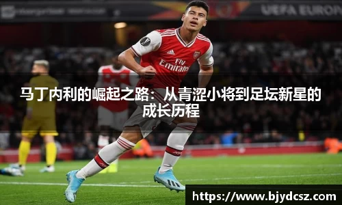 米兰体育官网